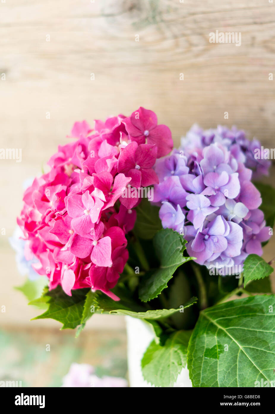 Pastel color hydrangea flowers on wooden table Stock Photo Alamy