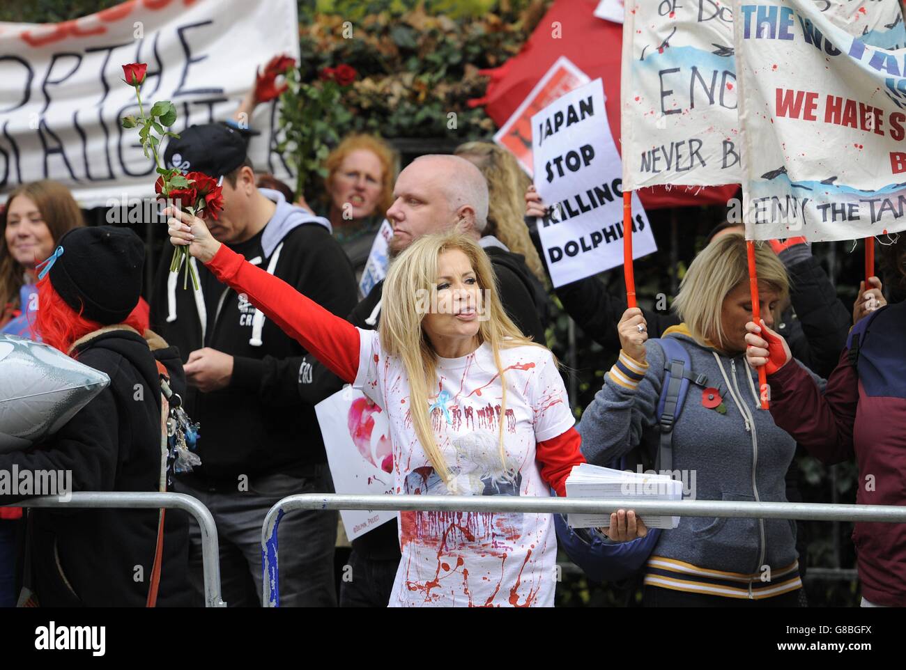 Dolphin slaughter protest Stock Photo