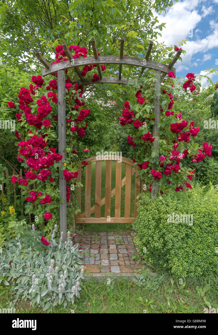 Garden door with rose arch Stock Photo