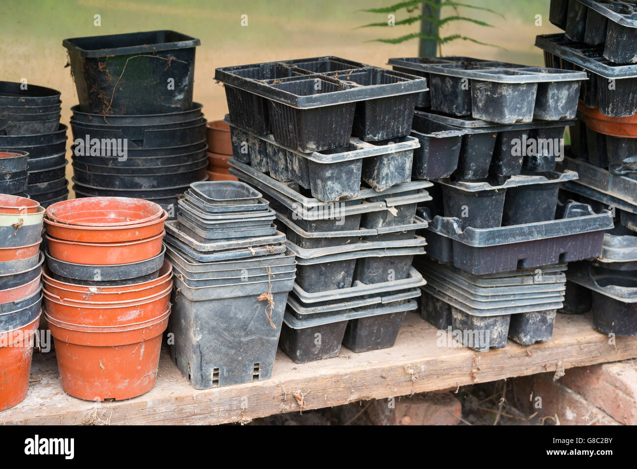 Empty plastic plant pots stacked on a shelf in a polytunnel Stock Photo