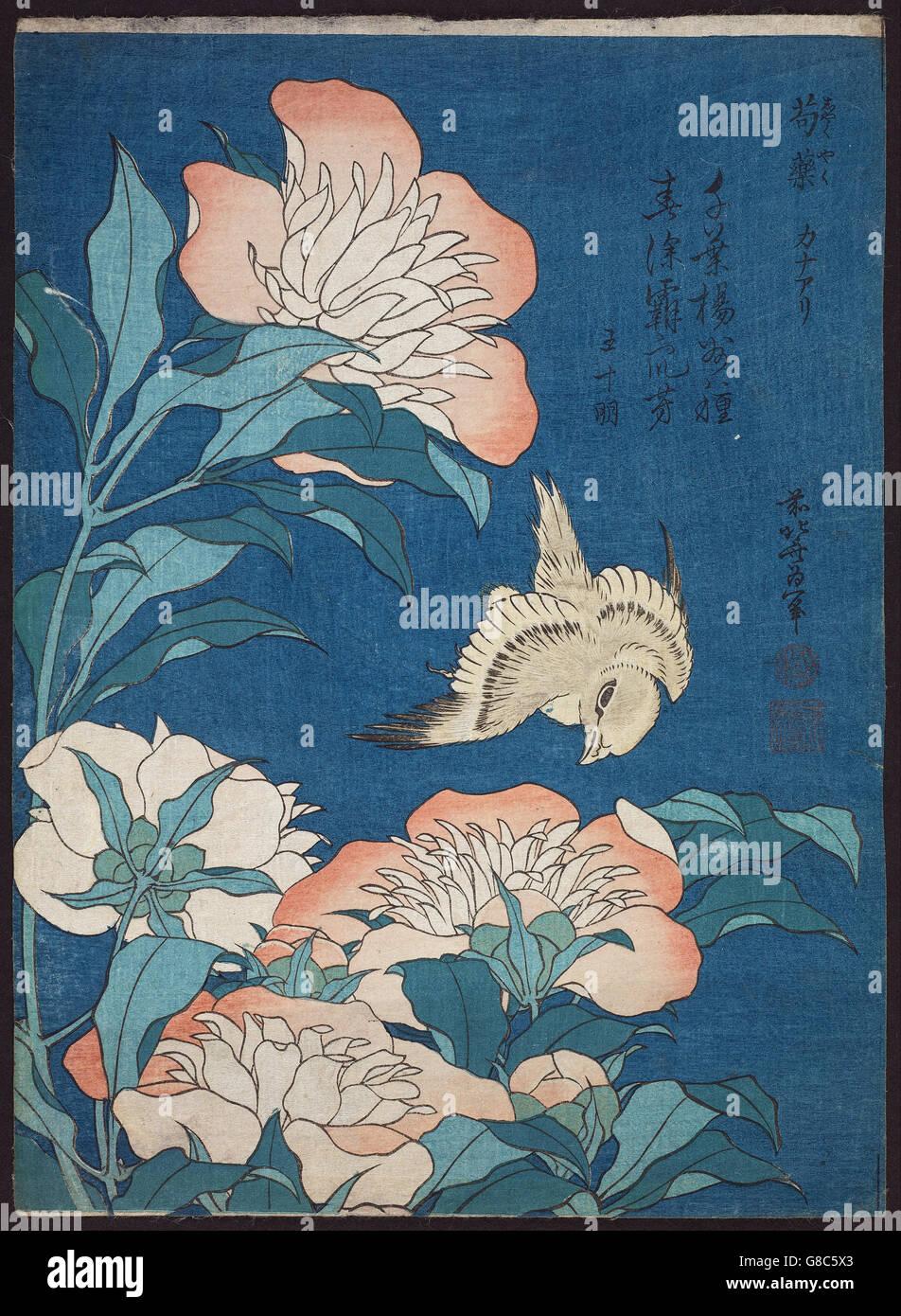 Katsushika Hokusai, published by Nishimuraya Yohachi (Eijudō) - Peonies and Canary Stock Photo