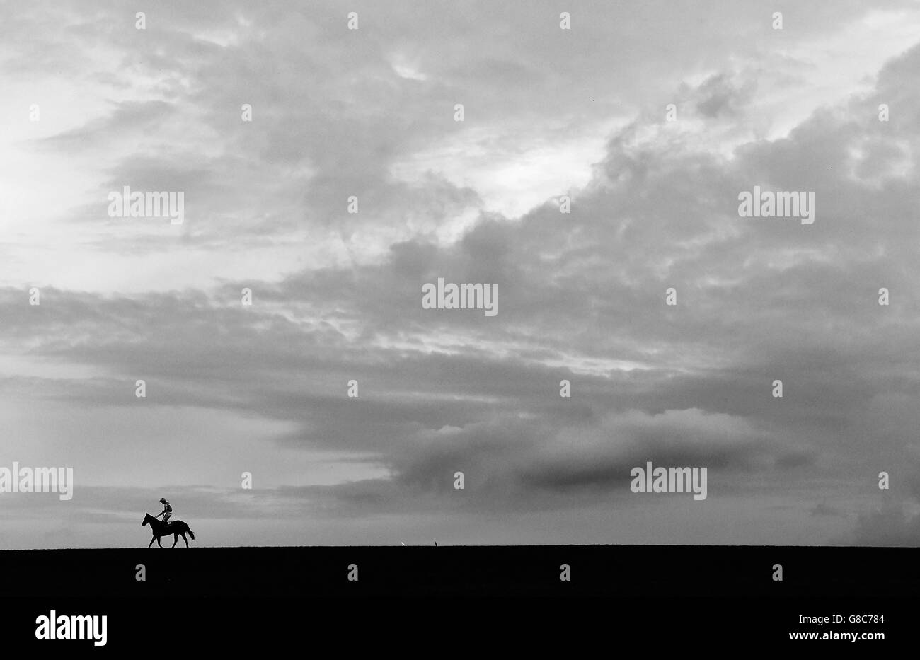 EDITORS NOTE IMAGE CONVERTED TO BLACK AND WHITE Runners make their way home after The Vision EBF Stallions Boadicea Fillies' Stakes during day two of the Dubai Future Champions Festival at Newmarket Racecourse. Stock Photo