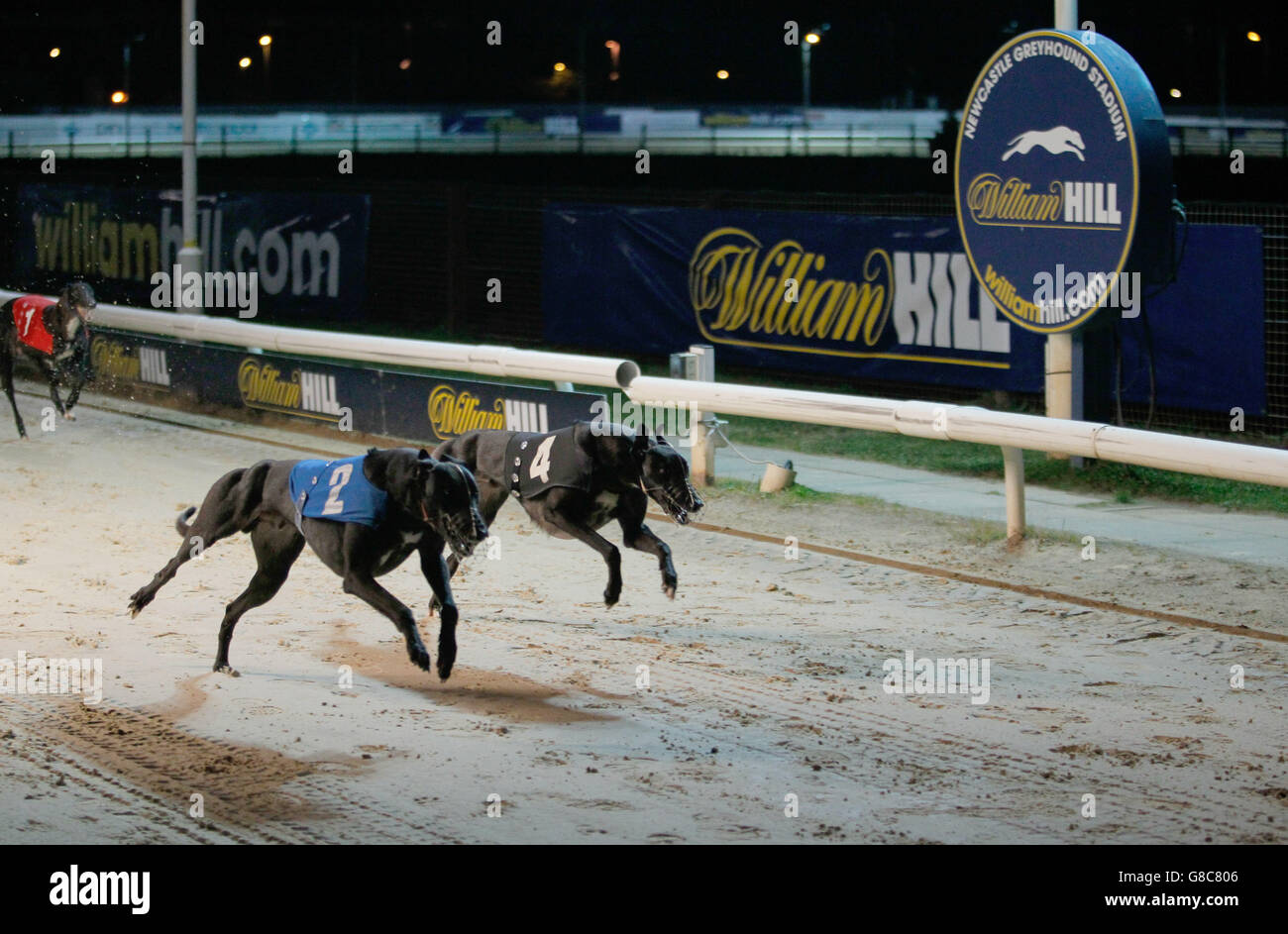 William Hill Greyhound Derby Winner High Resolution Stock Photography And Images Alamy