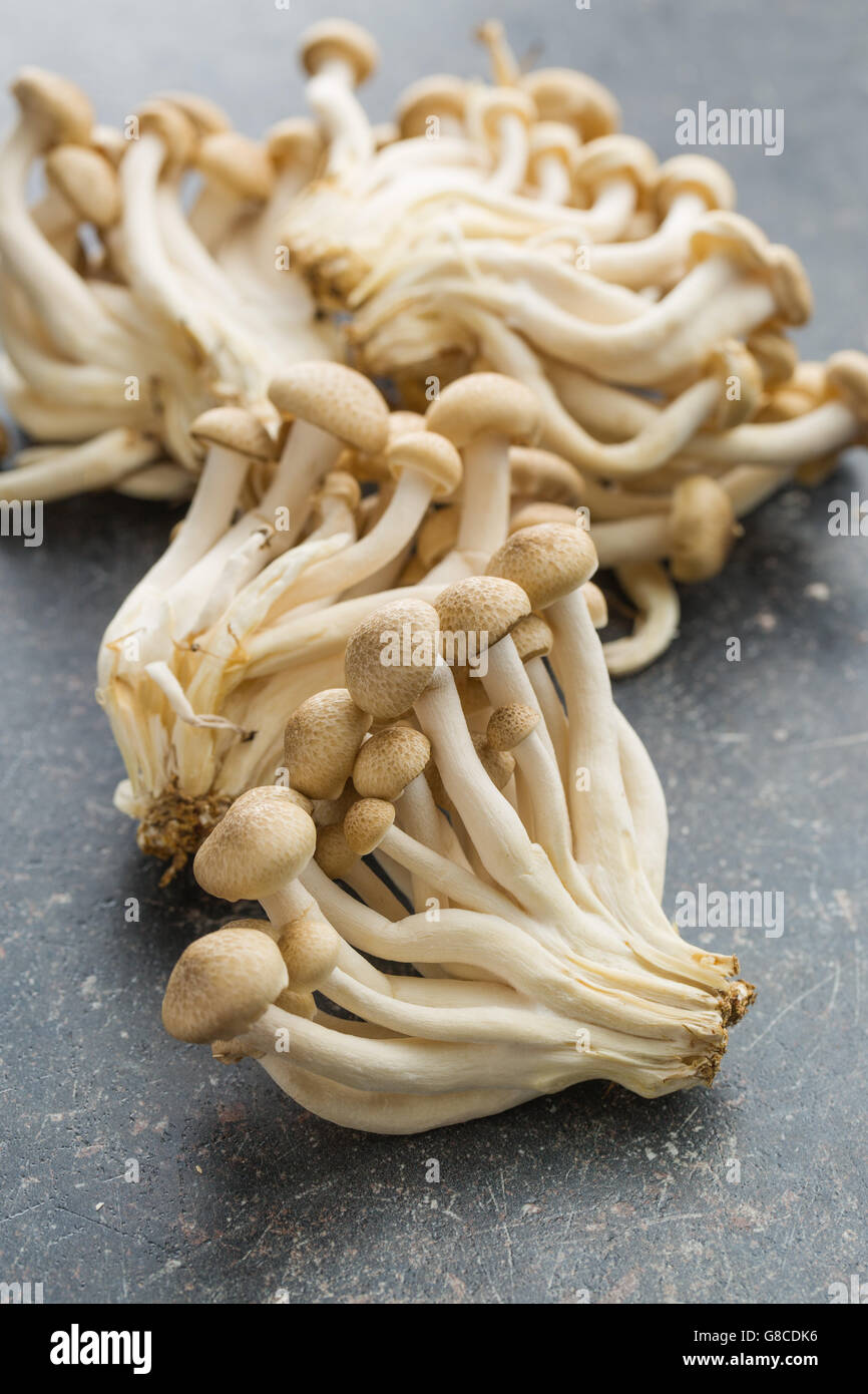 Brown shimeji mushrooms. Healthy superfood on old kitchen table Stock