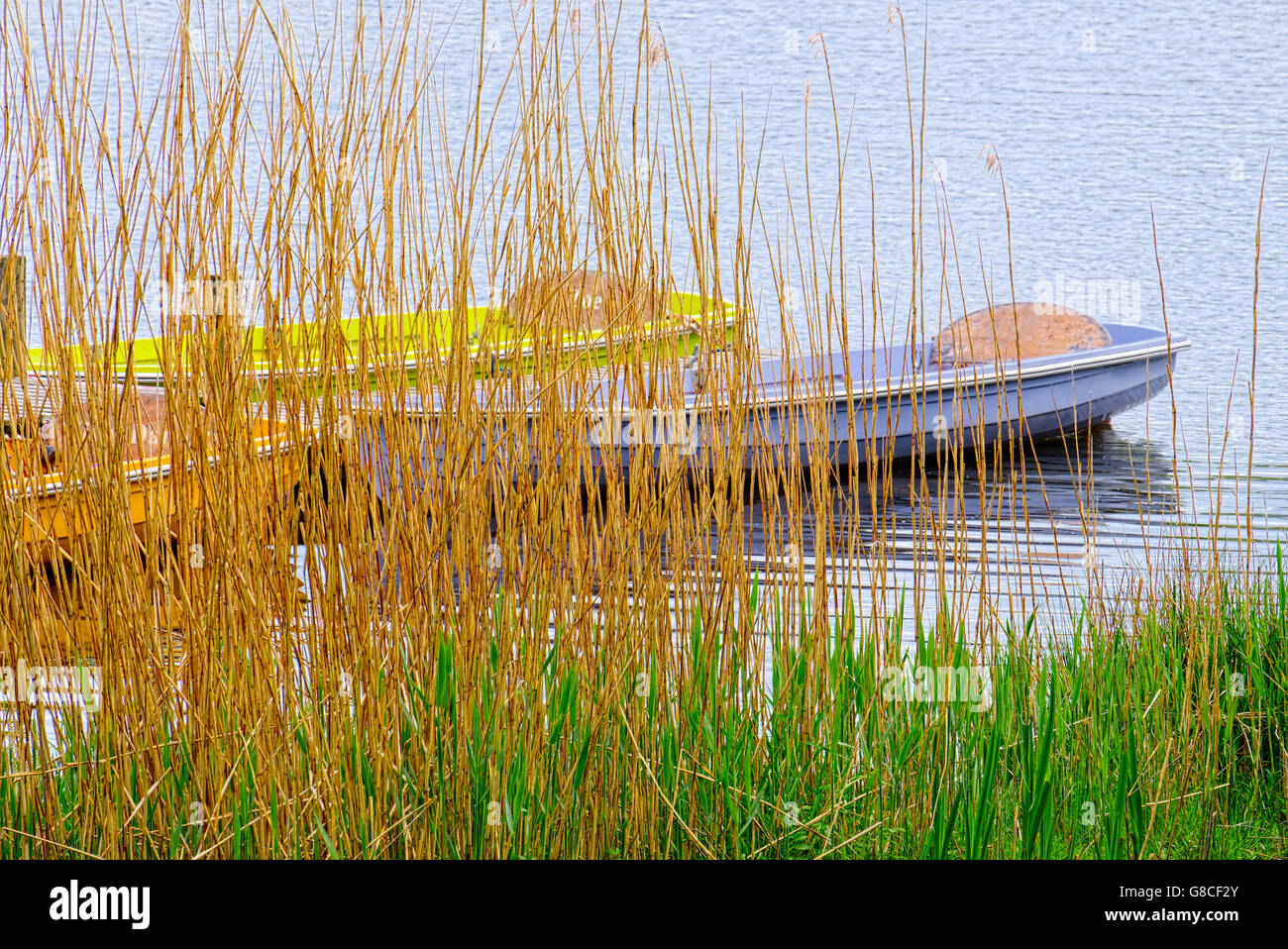 Lake rowing boats hi-res stock photography and images - Alamy