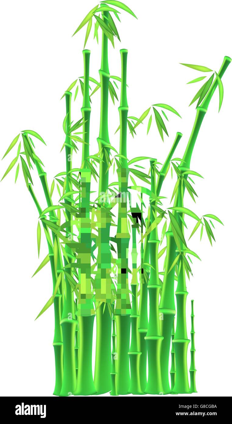 bamboo sticks over white background. vector illustration Stock Vector