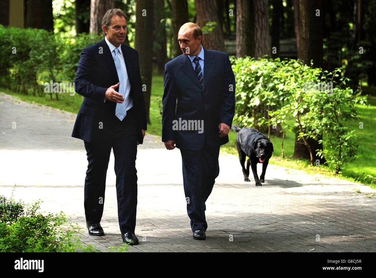 Britain's Prime Minister Tony Blair (left) walks with Russian President Vladimir Putin and his dog Konie at his private dacha outside Moscow. Mr Blair conceded today that he was taking over the presidency of the EU at 'an interesting time' for Europe as he joined Mr Putin at the start of a hectic diplomatic week that ends with a crunch EU summit in Brussels. Stock Photo