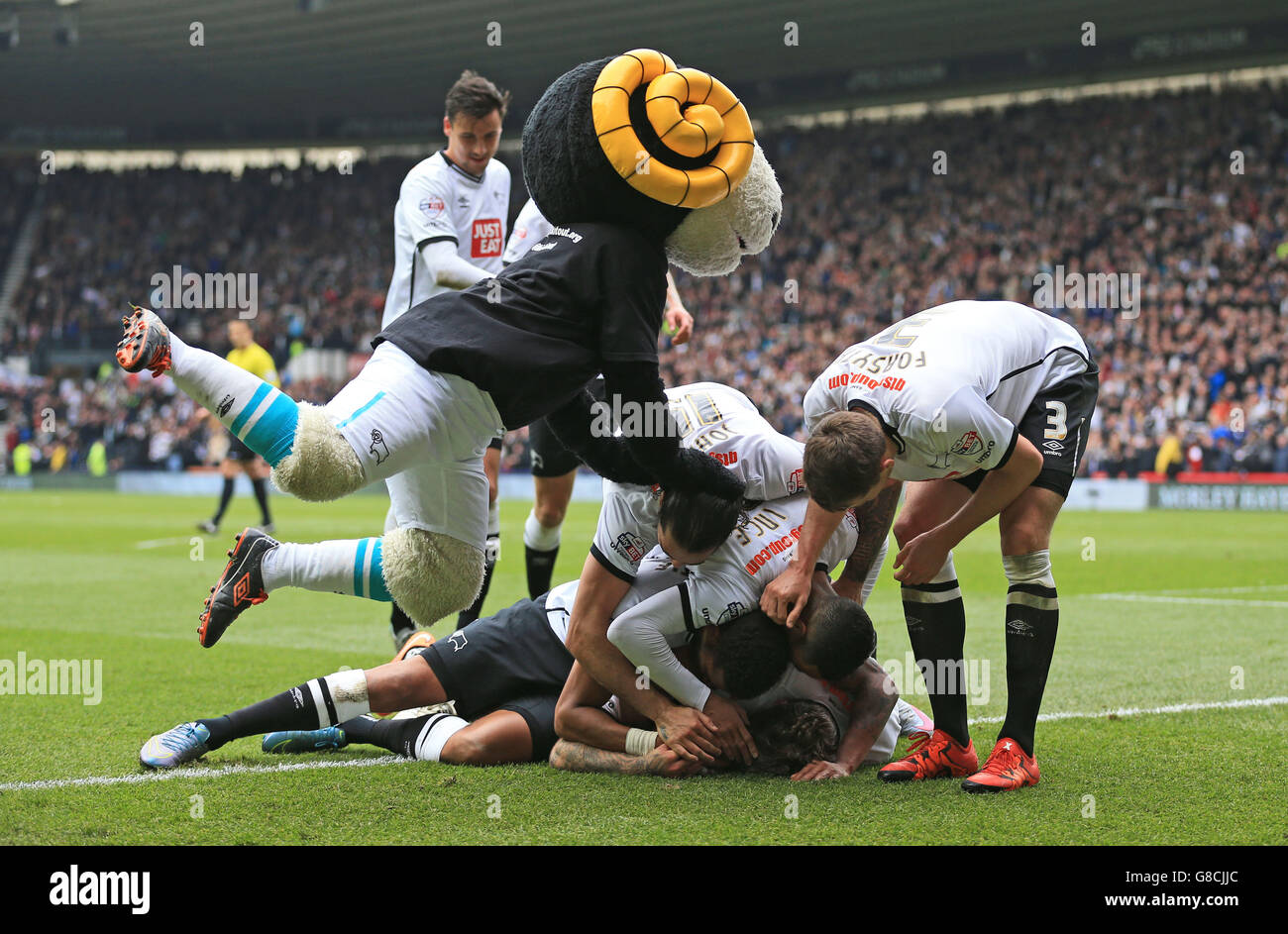 Derby County's Johnny Russell (bottom) celebrates scoring his side's fourth goal of the game against Wolverhampton Wanderers with team-mates and mascot Rammie the Ram Stock Photo