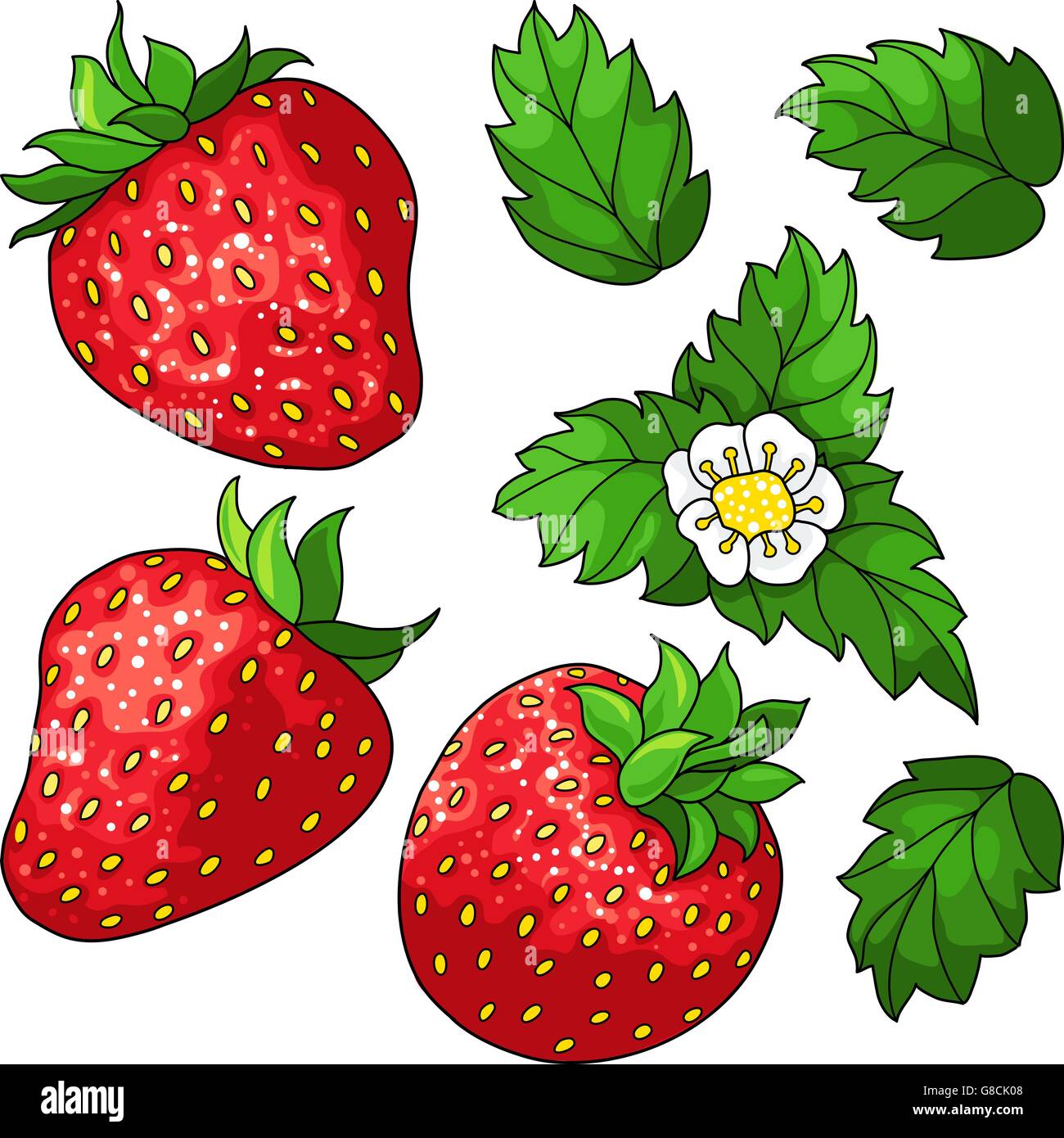 Yellow flower strawberries Stock Vector Images - Alamy