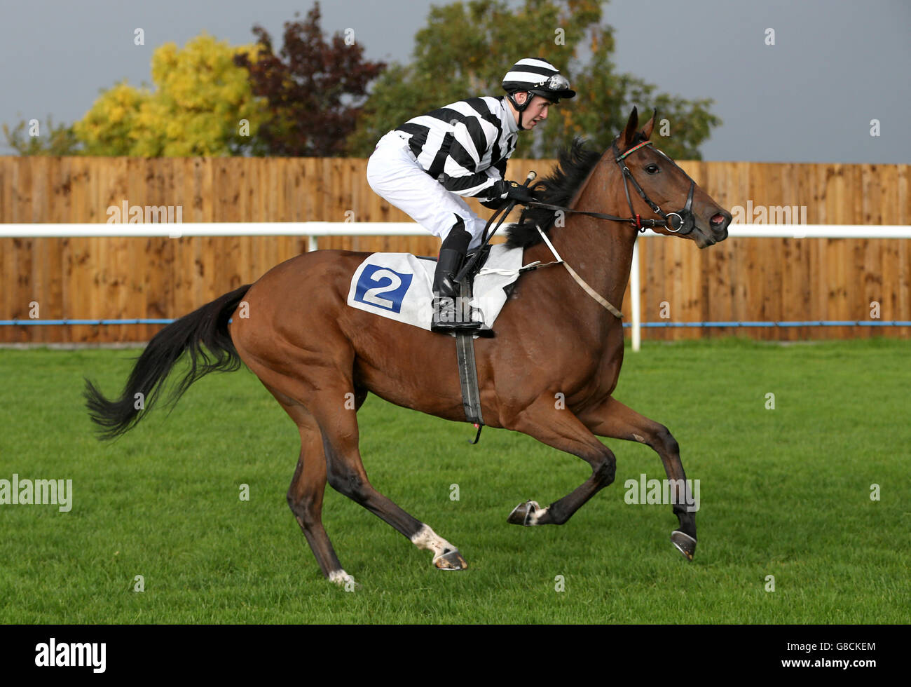 Agadoo ridden by Shane Gray goes to post at Leicester Racecourse. PRESS ASSOCIATION Photo. Picture date: Tuesday October 6, 2015. See PA story RACING Leicester. Photo credit should read: Simon Cooper/PA Wire. Stock Photo