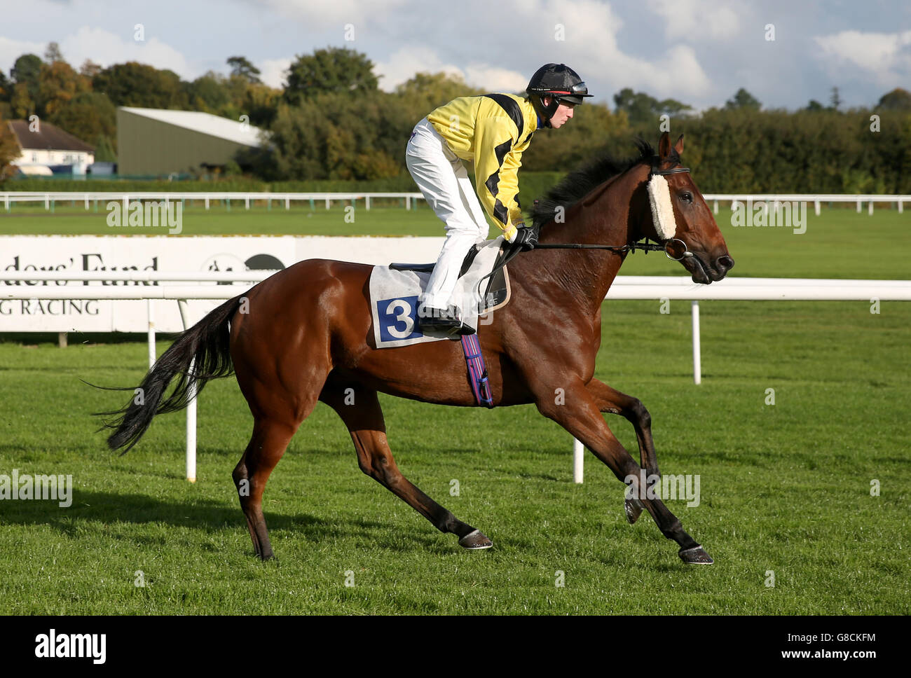 Bonjour Steve ridden by Ciaren McKee goes to post at Leicester Racecourse. PRESS ASSOCIATION Photo. Picture date: Tuesday October 6, 2015. See PA story RACING Leicester. Photo credit should read: Simon Cooper/PA Wire. Stock Photo