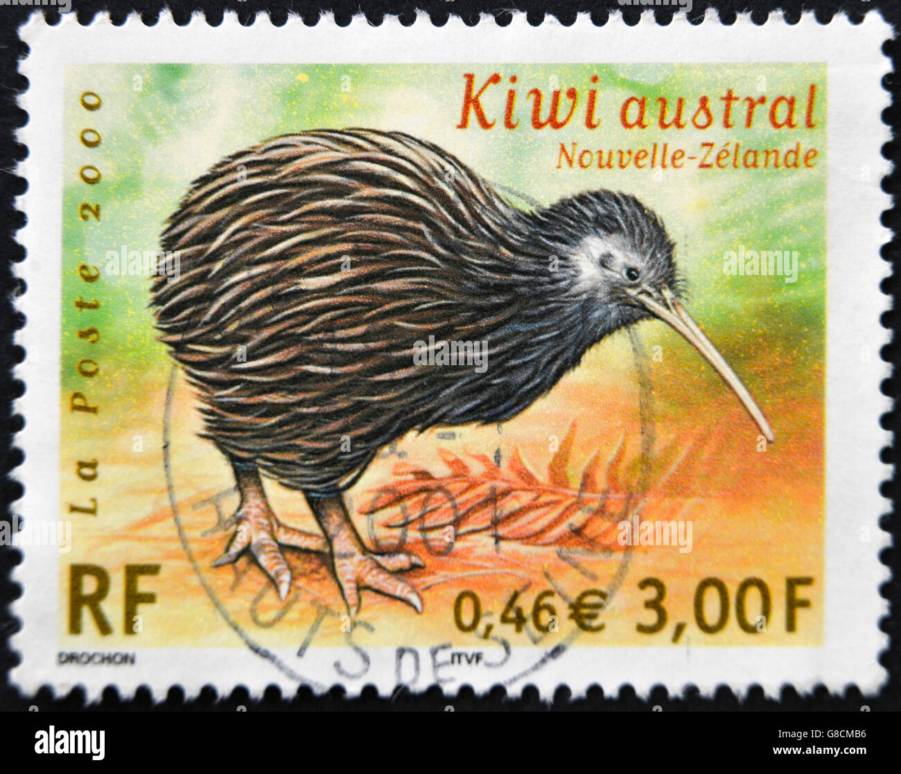 Little spotted kiwi hires stock photography and images Alamy