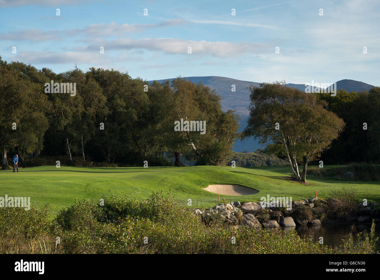 Lone golfer playing golf at the scenic and picturesque Killarney golf and fishing club in Fossa, Killarney National Park, County Kerry, Ireland Stock Photo
