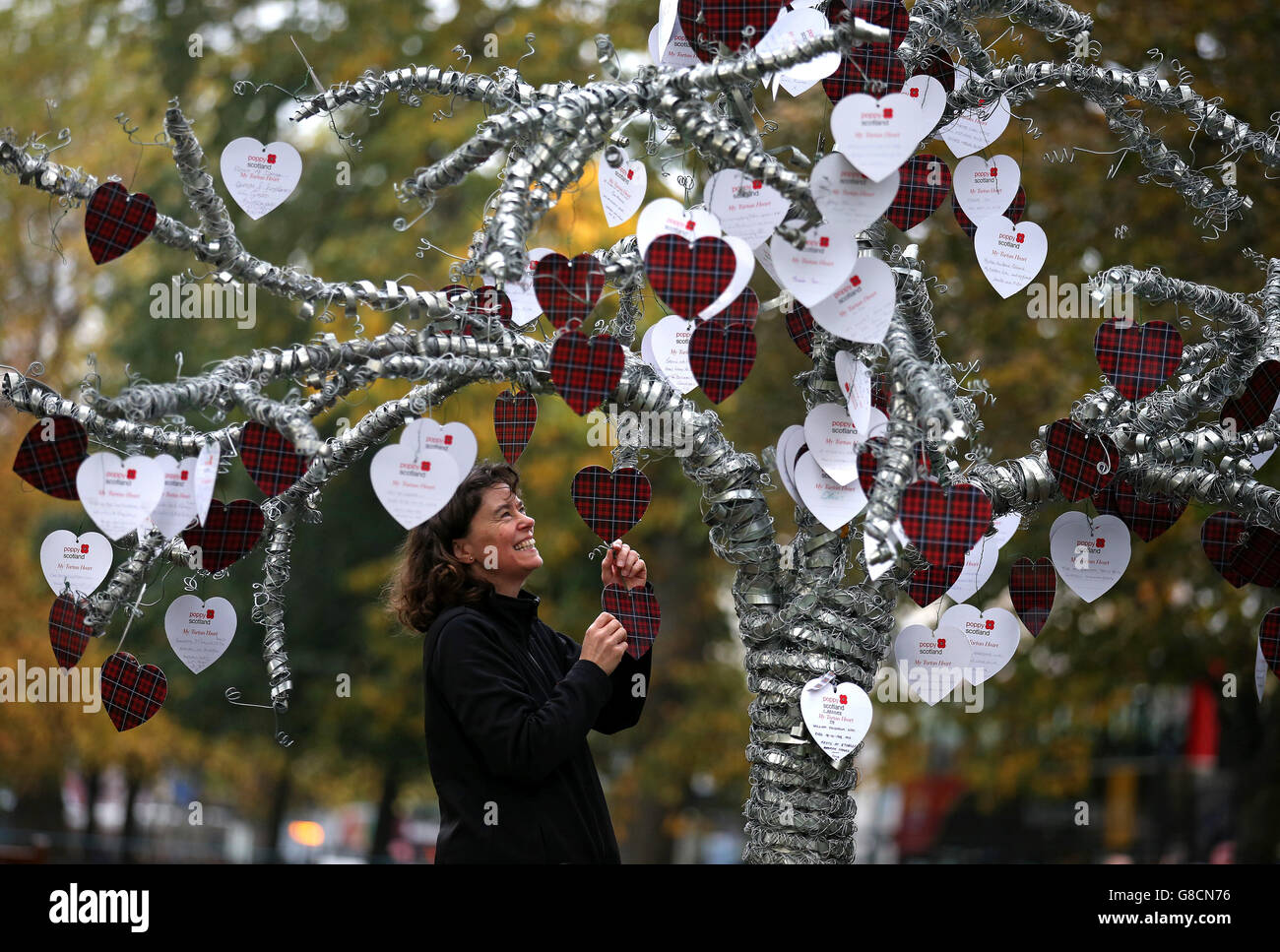 Sally McNaught from Poppy Scotland attaches messages of support to tree sculpture which has been planted next to the Field of Remembrance in Edinburgh, to which more than a thousand messages of support written on heart-shaped cards will be attached, ahead of the opening on Monday. Poppyscotland is inviting the public to plant crosses at the Field during Poppy Week (from Monday), in exchange for a donation, with the ambition of filling the Field by Armistice Day. Stock Photo