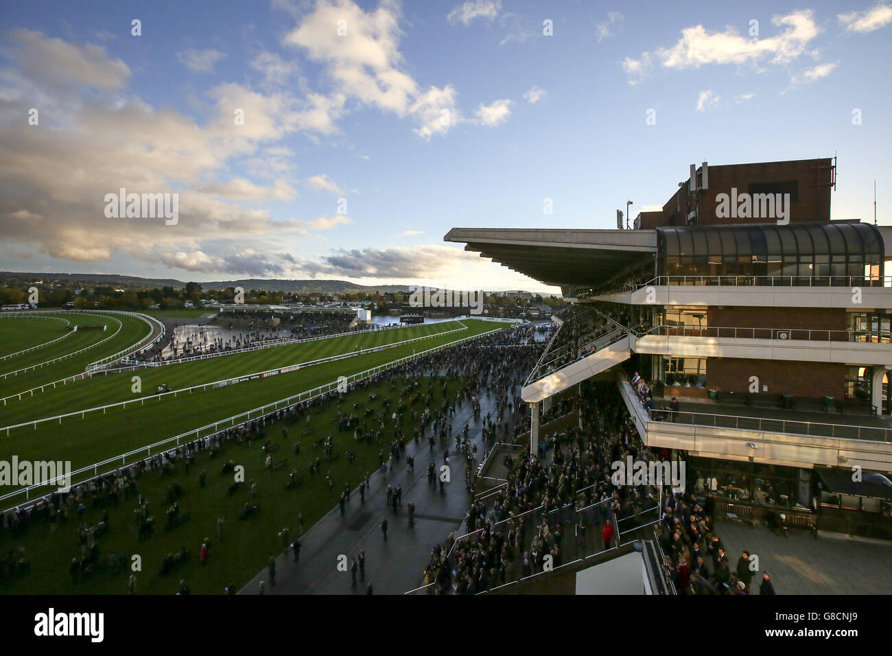 Horse Racing - The Showcase - Day Two - Cheltenham Racecourse. A general view of racegoers at Cheltenham Racecourse Stock Photo