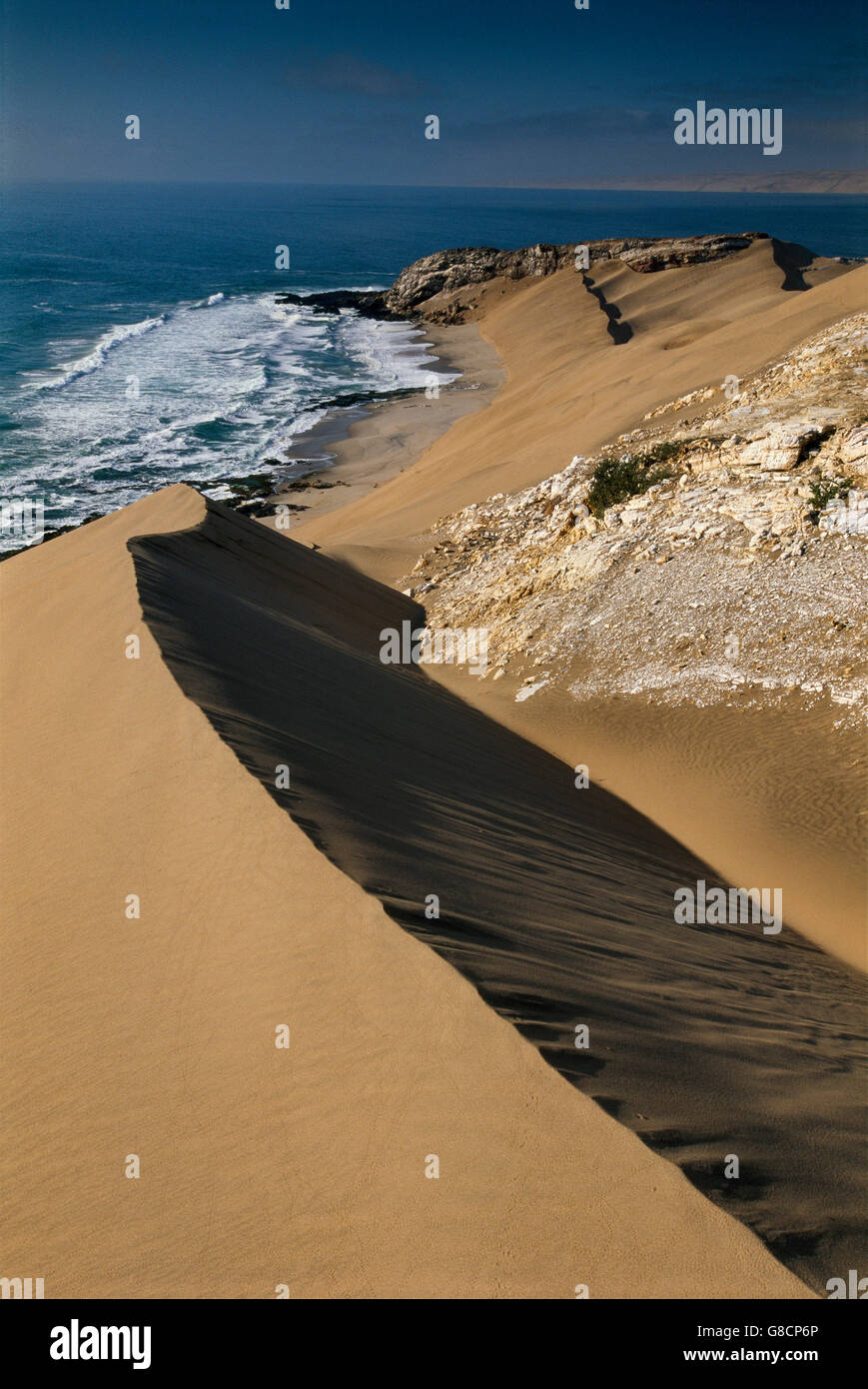 Sylvia Beach High Resolution Stock Photography and Images - Alamy