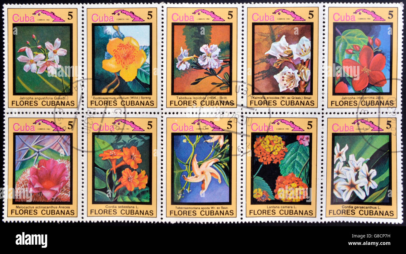 CUBA - CIRCA 1983: Stamps printed in Cuba dedicated to Cuban flowers, circa 1983 Stock Photo