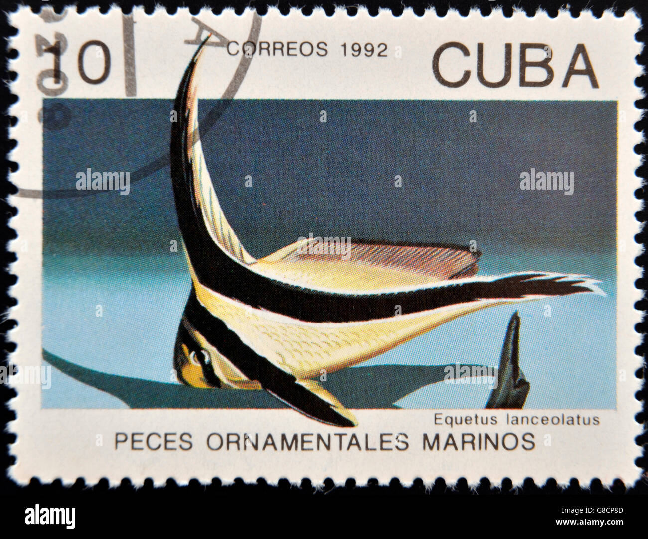 CUBA - CIRCA 1992: A stamp printed in Cuba dedicated to ornamental fish, shows equetus lanceolatus, circa 1992 Stock Photo