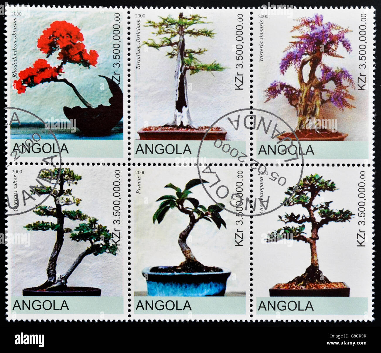 ANGOLA - CIRCA 2000: Collection stamps shows different bonsai, circa 2000 Stock Photo