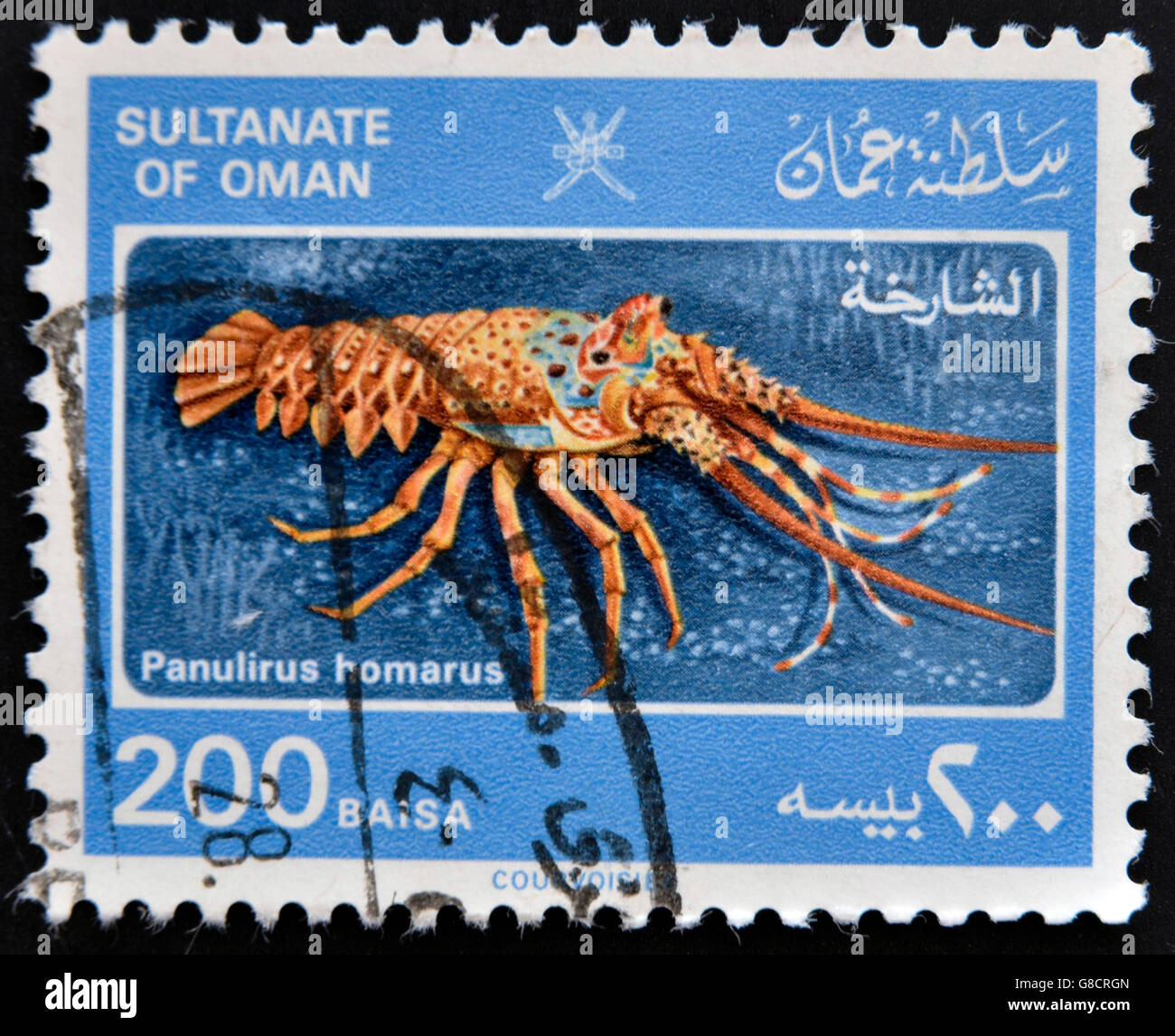 SULTANATE OF OMAN - CIRCA 1980: A stamp printed in Oman shows a  panulirus homarus, circa 1980 Stock Photo