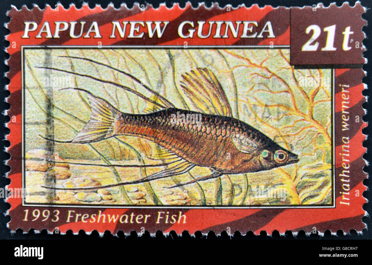PAPUA NEW GUINEA - CIRCA 1993: A stamp printed in Papua shows freswater fish, iriatherina werneri, circa 1993 Stock Photo