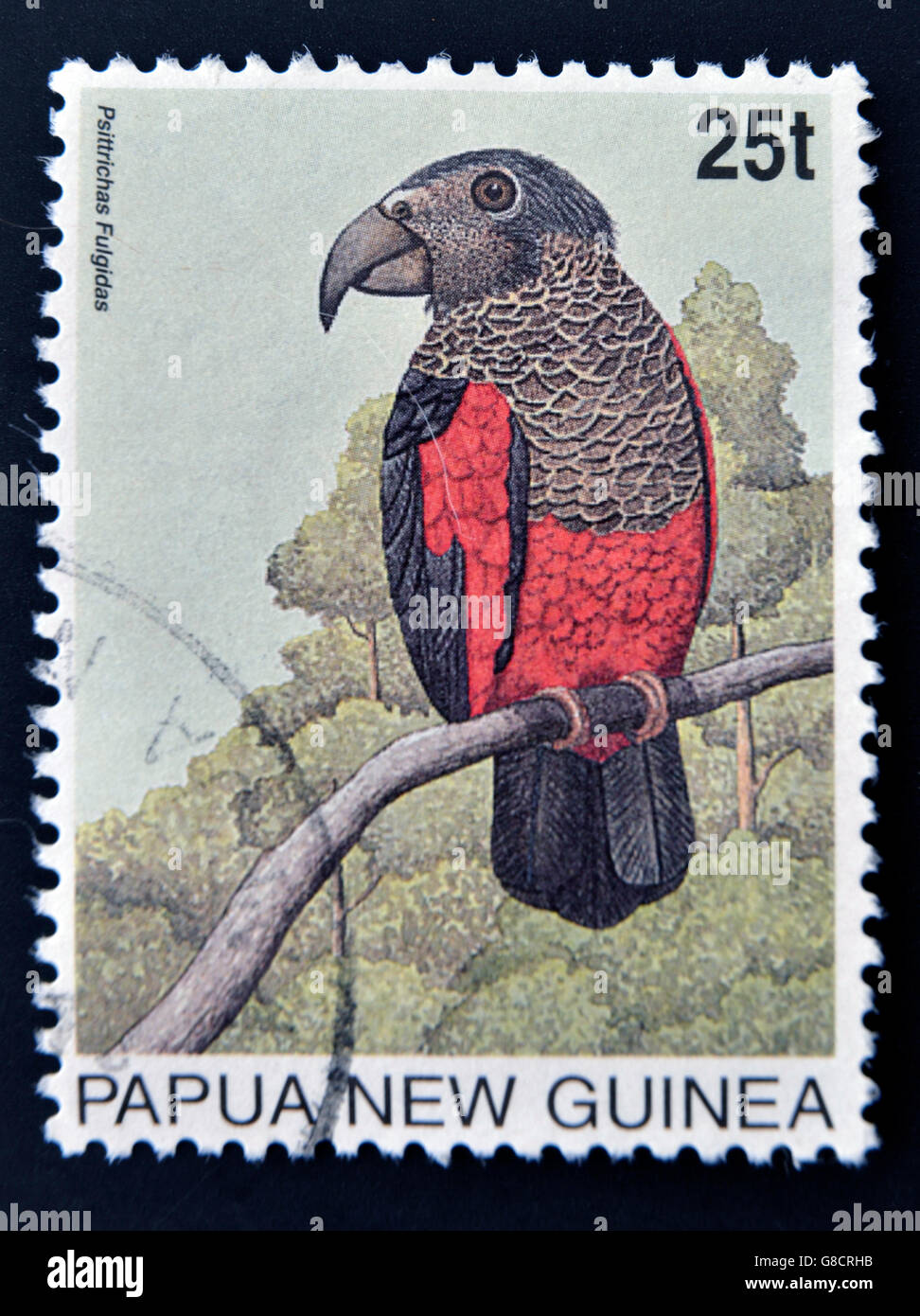 PAPUA NEW GUINEA - CIRCA 1996: A stamp printed in Papua shows Pesquet's Parrot (Psittrichas fulgidus), circa 1996 Stock Photo