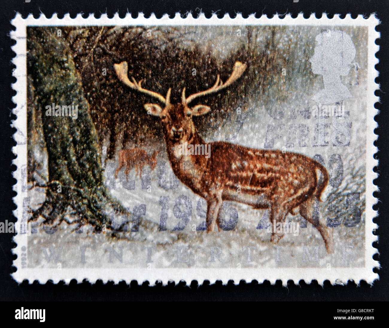 UNITED KINGDOM - CIRCA 1992: A stamp printed in the Great Britain shows Fallow deer, circa 1992 Stock Photo