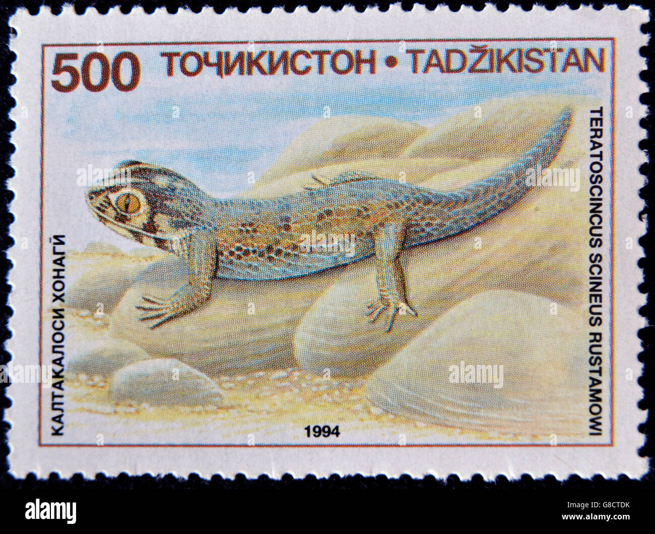 TAJIKISTAN - CIRCA 1994: A stamp printed in Tajikistan shows a Common Wonder Gecko Lizard, Teratoscincus scincus, circa 1994. Stock Photo