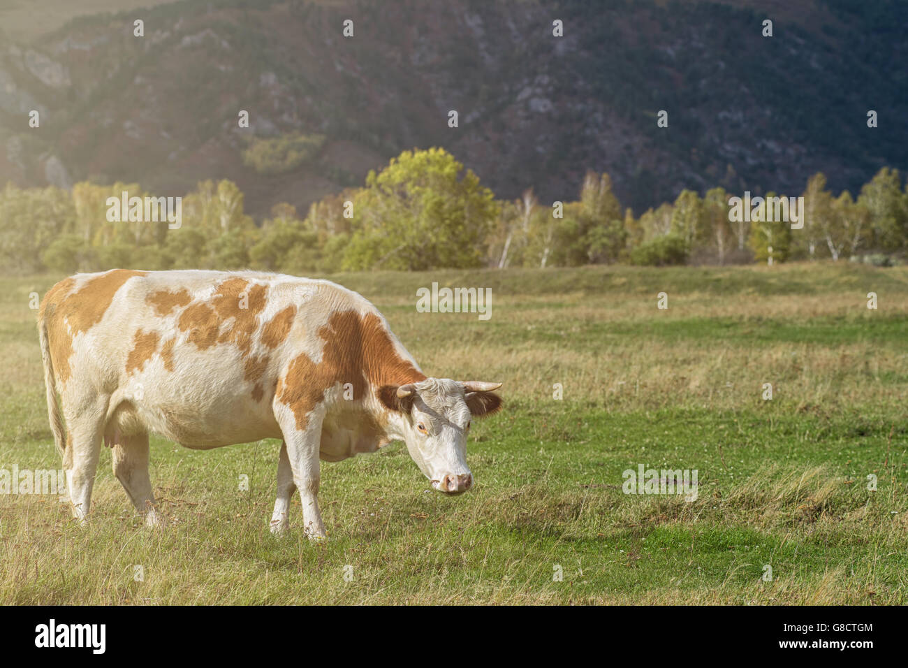 Village grassland siberia russia hi-res stock photography and images ...