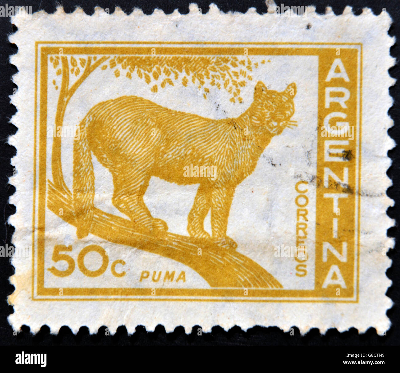 ARGENTINA - CIRCA 1959: A stamp printed in Argentina shows a puma, circa  1959 Stock Photo - Alamy