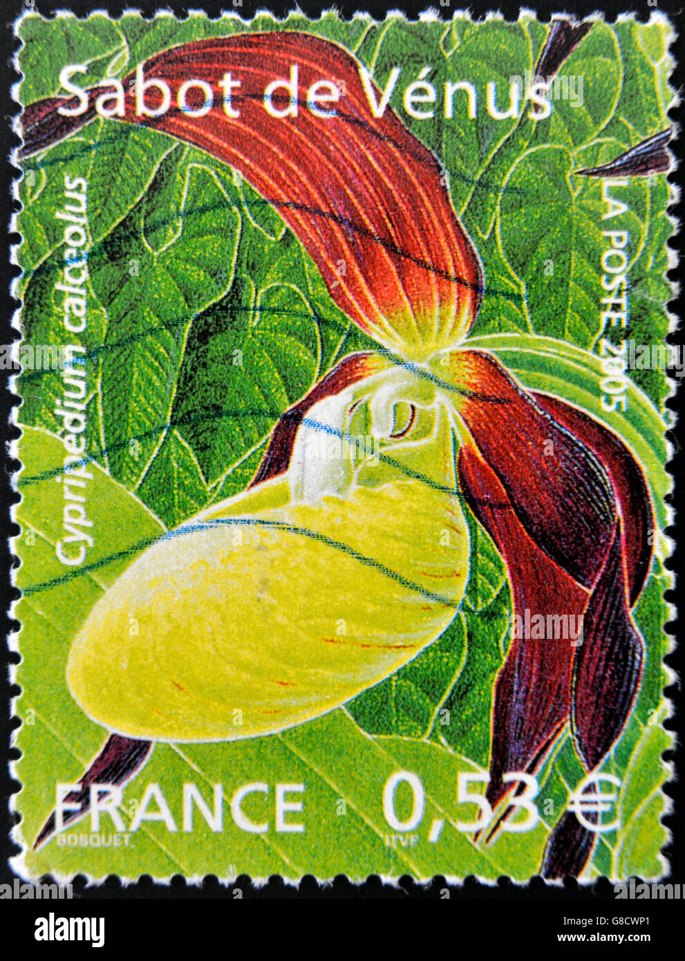 FRANCE - CIRCA 2005: A stamp printed in rance shows a Cypripedium calceolus orchid, circa 2005 Stock Photo