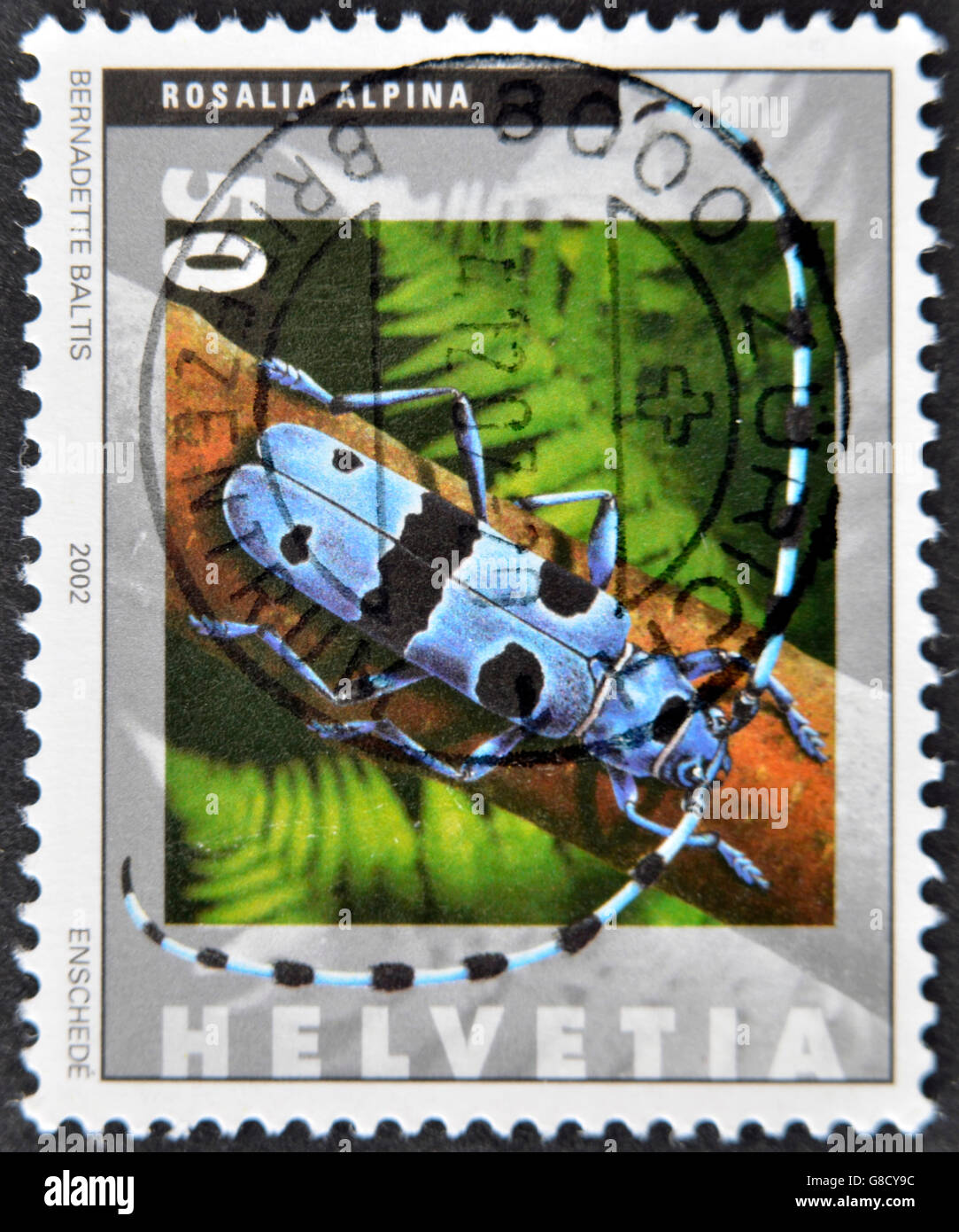 SWITZERLAND - CIRCA 2002: A stamp printed in Switzerland shows rosalia alpina, circa 2002 Stock Photo