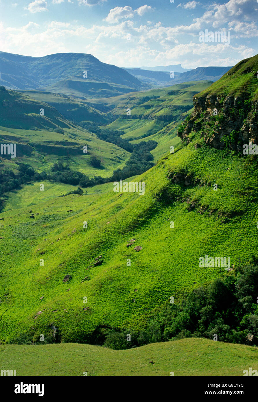 Drakensberg Mountains scene; South Africa Stock Photo - Alamy