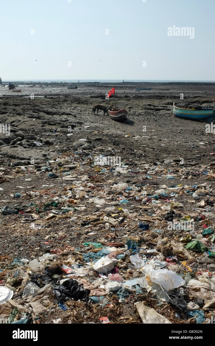 rubbish collected at the beach front at the slum area of chimbai