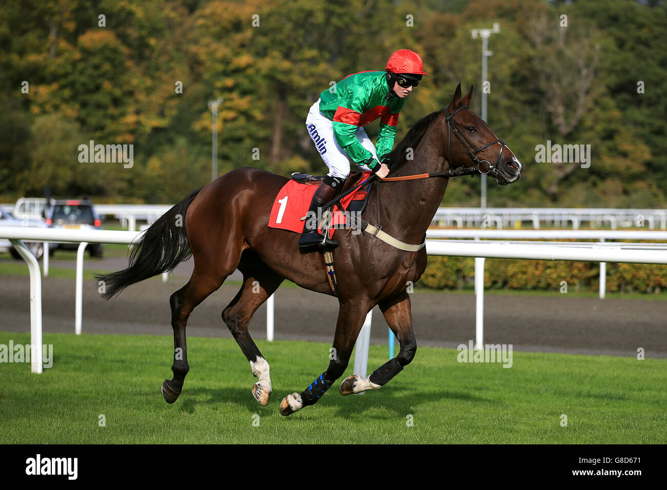 Horse Racing - Kempton Racecourse Stock Photo