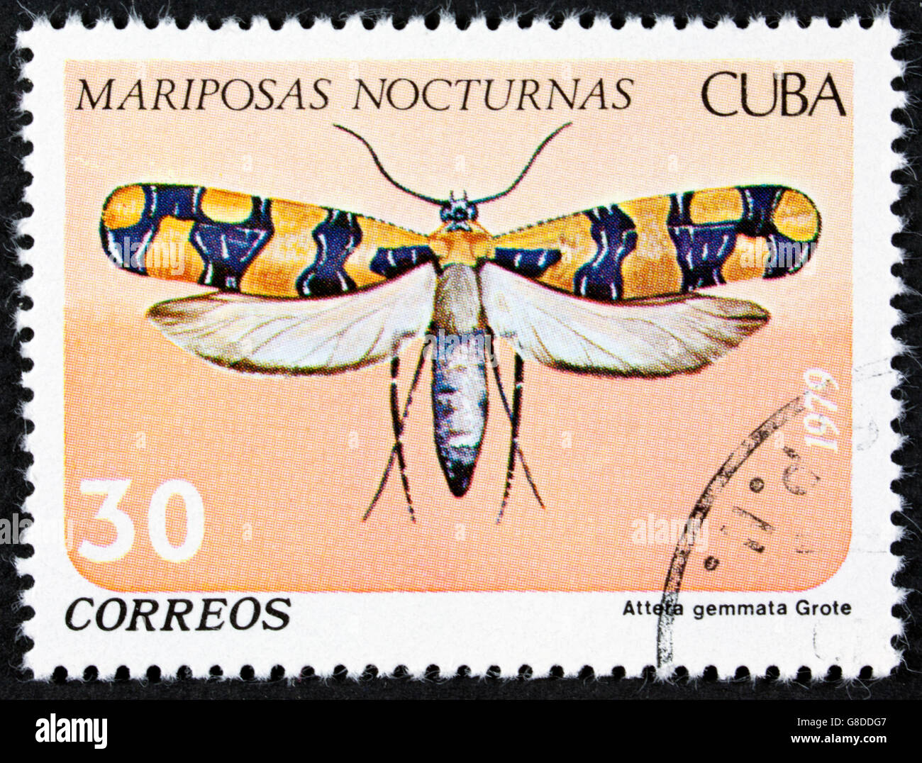 CUBA - CIRCA 1979: A stamp printed in Cuba shows butterfly with the inscription Attera gemmata, series, circa 1979. Stock Photo