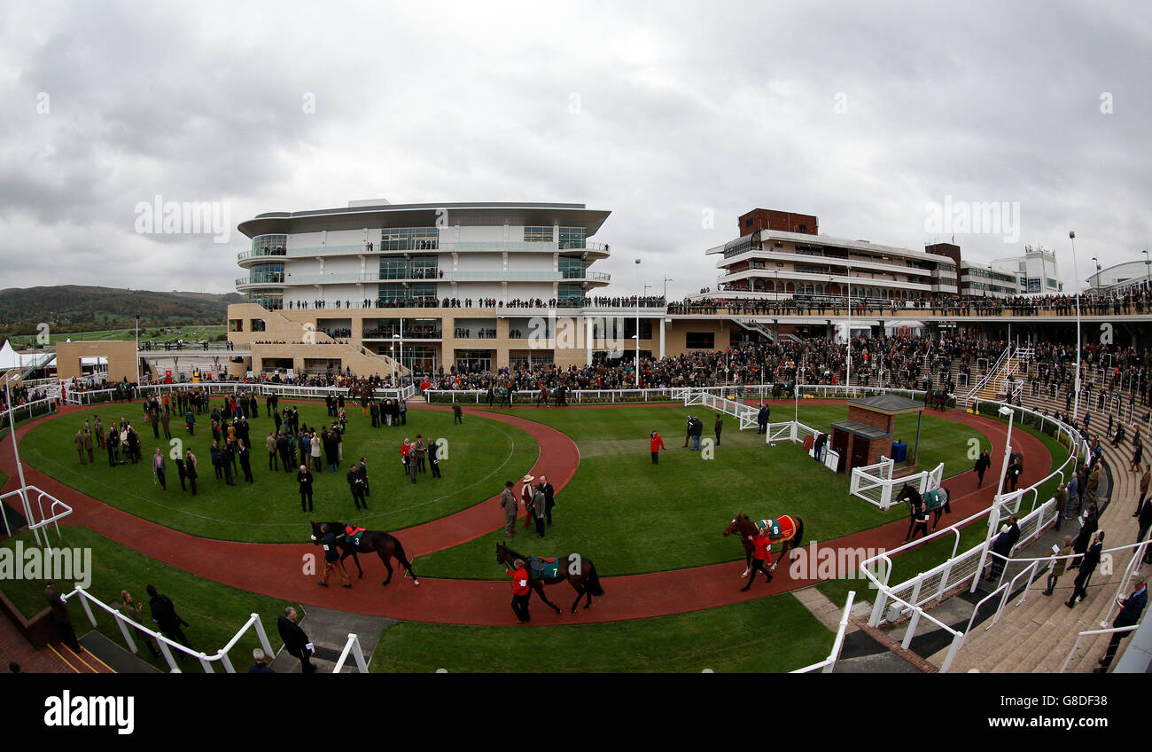 Horse Racing - The Showcase - Day One - Cheltenham Racecourse. Runners parade before the Pertemps Network Handicap Hurdle during day one of The Showcase at Cheltenham Racecourse. Stock Photo