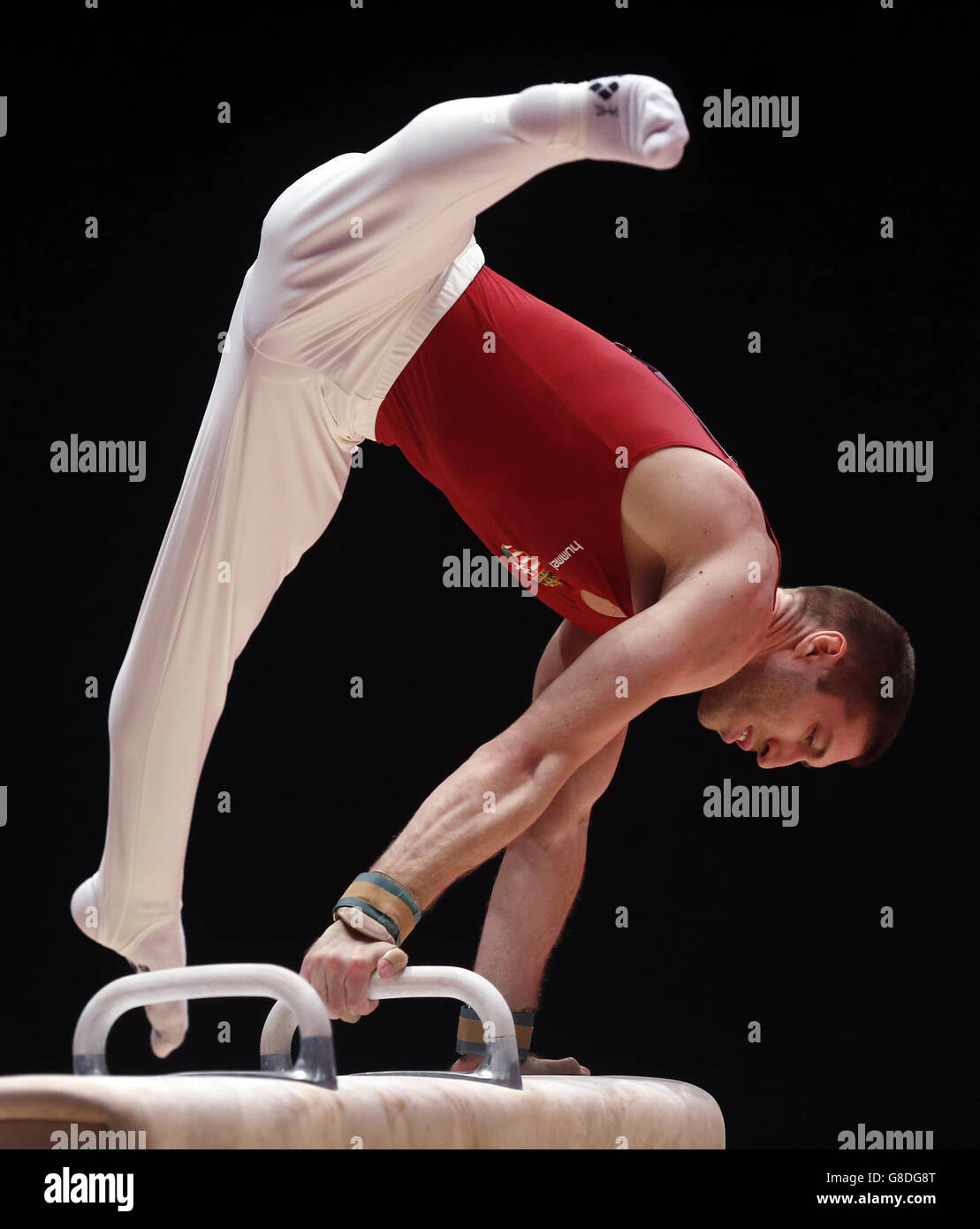 Hungary's Krisztian Berki competes on the Pommel Horse during day four of the 2015 World Gymnastic Championships at The SSE Hydro, Glasgow. Stock Photo