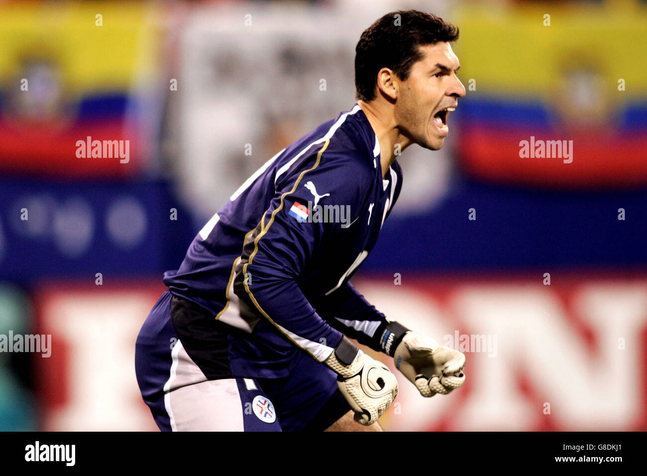Soccer - International Friendly - Ecuador v Paraguay - Giants Stadium. Derlis Gomez, Paraguay goalkeeper Stock Photo