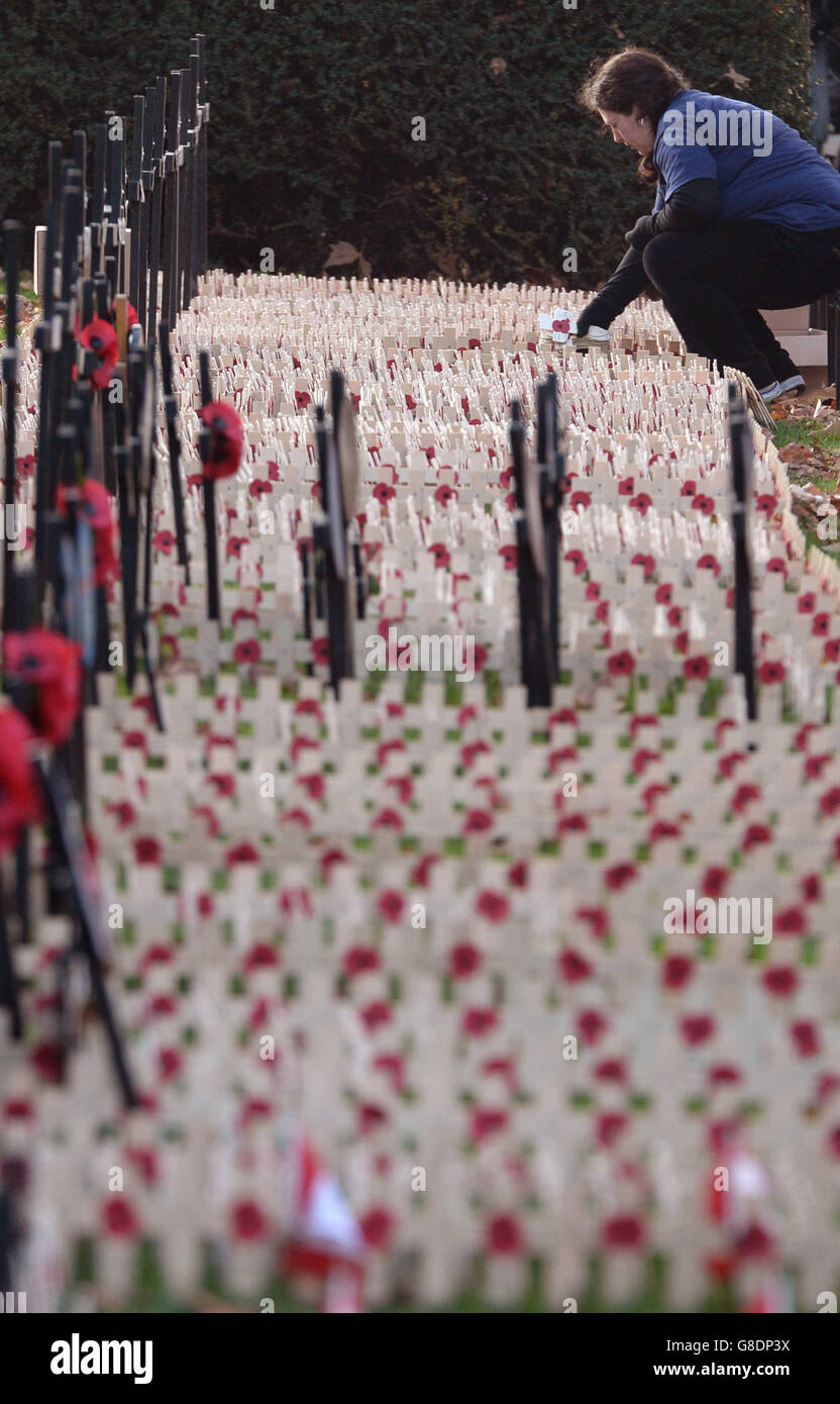 Poppies on crosses are placed in position in the grounds of Westminster Abbey in London ahead of Remembrance Sunday. Stock Photo