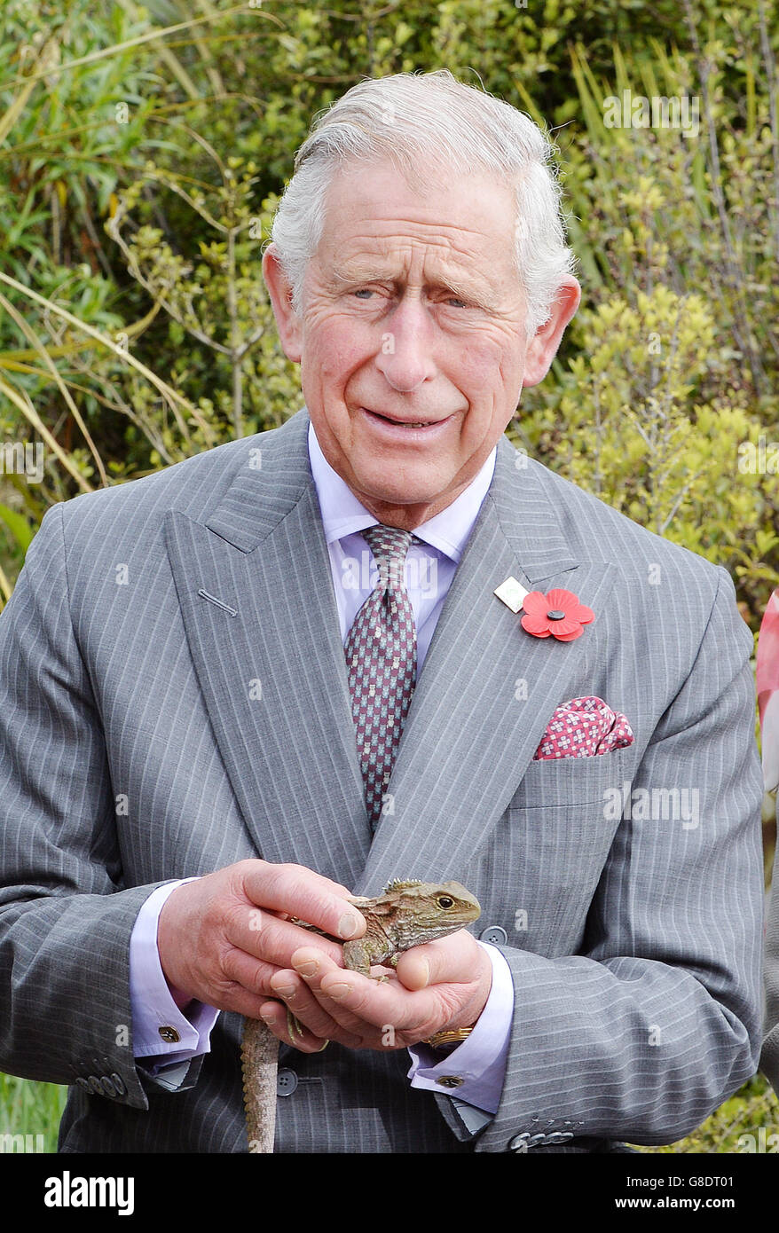 The Prince of Wales holds a reptile, during a visit to the Orokonui ecosanctuary outside the city of Dunedin on the south island of New Zealand. Stock Photo