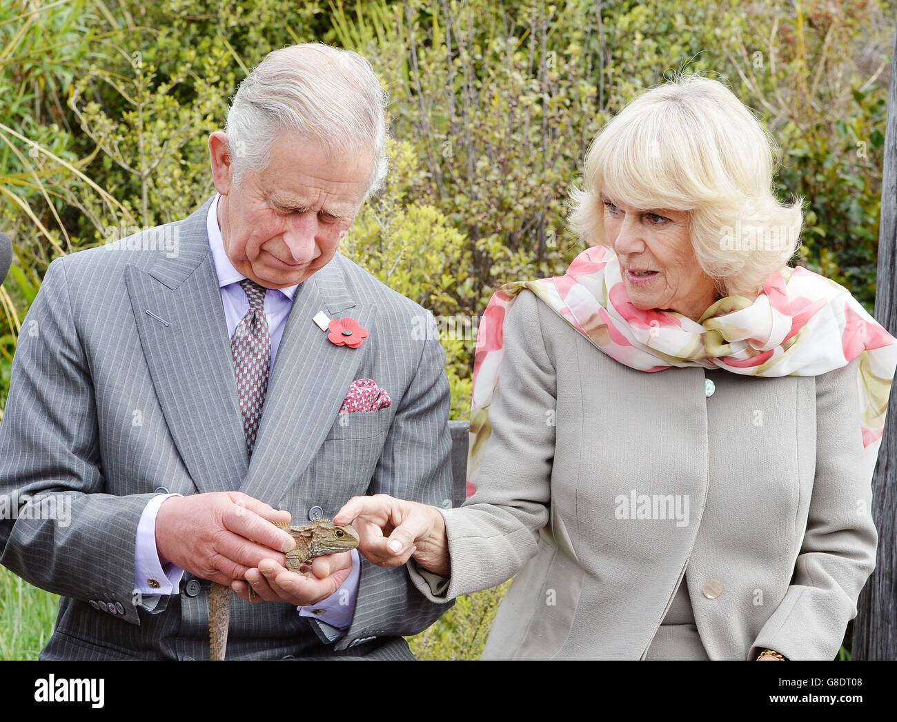 The Prince of Wales holds a reptile as the Duchess of Cornwall strokes its head, during a visit to the Orokonui ecosanctuary outside the city of Dunedin on the south island of New Zealand. Stock Photo