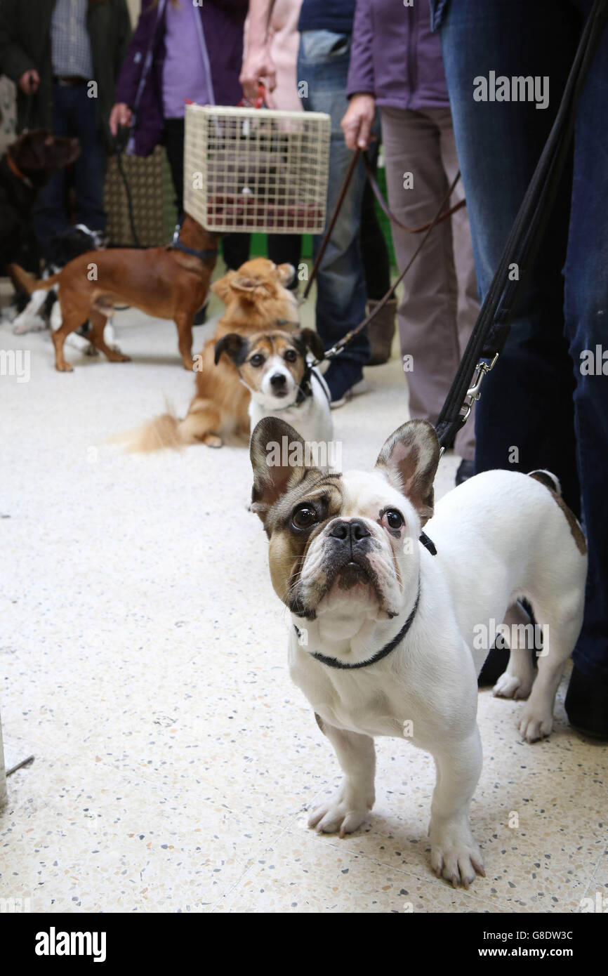 News animals prescription hires stock photography and images Alamy