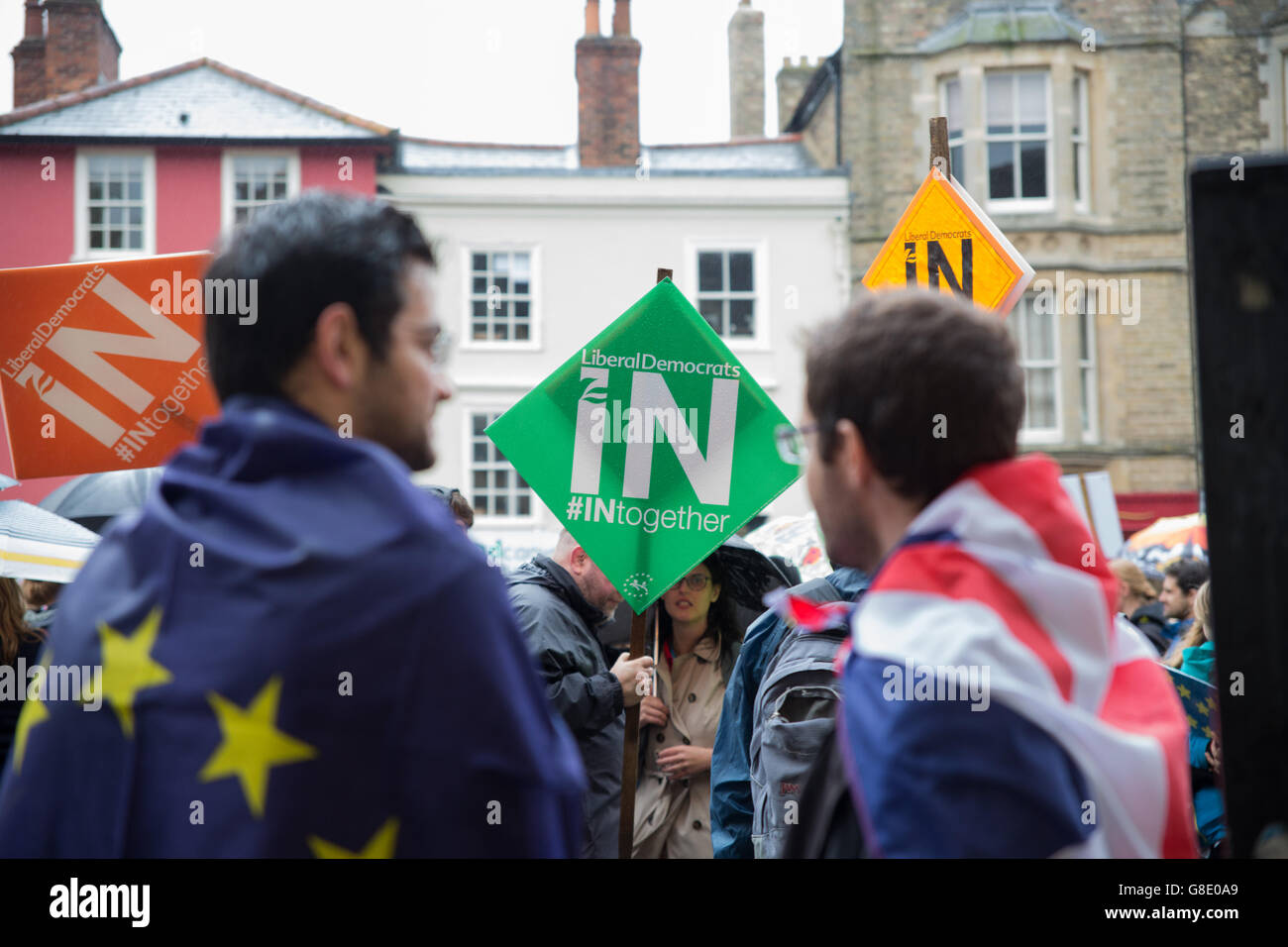 Leave after the rain hi-res stock photography and images - Page 7 - Alamy