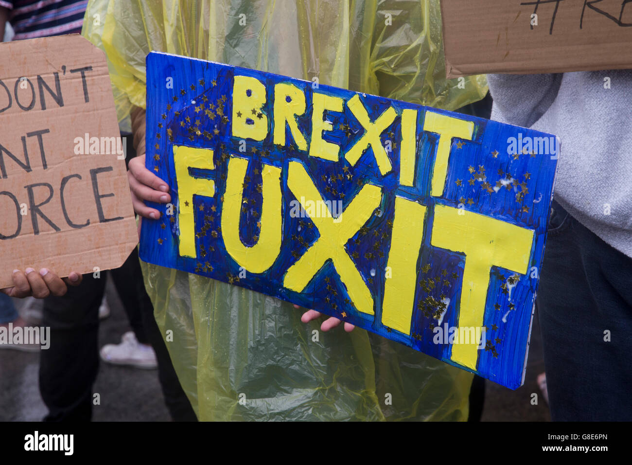 London, UK. 28th June, 2016. Anti- Brexit Protest, London Credit:  Sebastian Remme/Alamy Live News Stock Photo