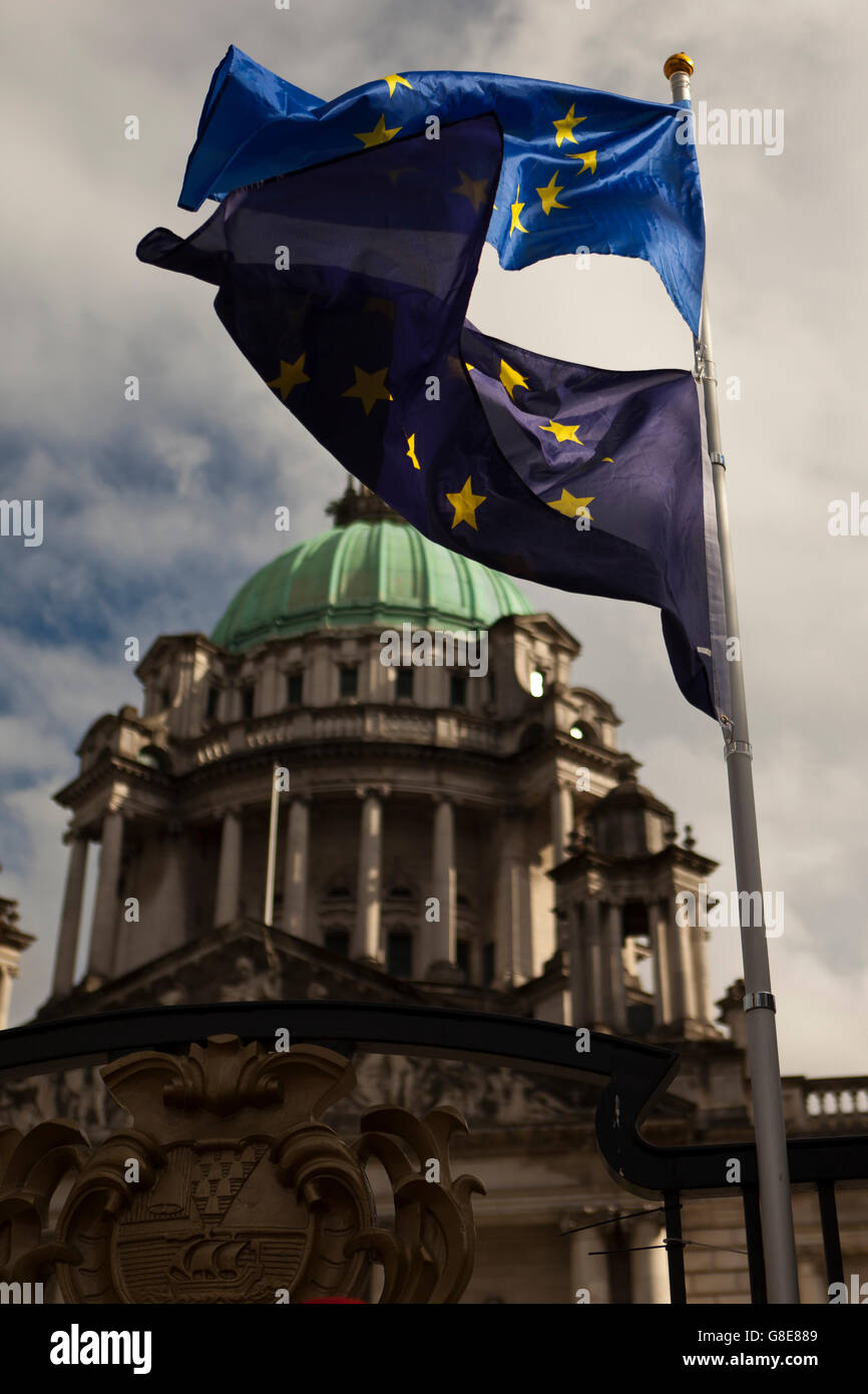 wimper bladzijde Vlek Belfast City Hall, Belfast, UK.29 June 2016 Two EU flags Fly in front of  Belfast City Hall. A crowd of about 150 people gathered outside Belfast  City Hall where a new group