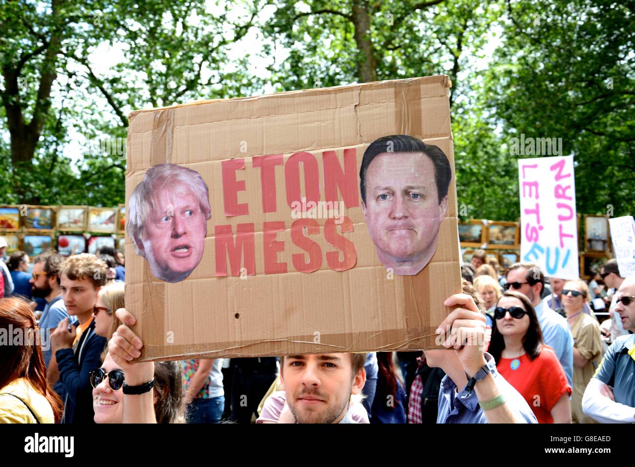 It is clear from this protester who is to blame for Britain's exit from the European Union. Stock Photo
