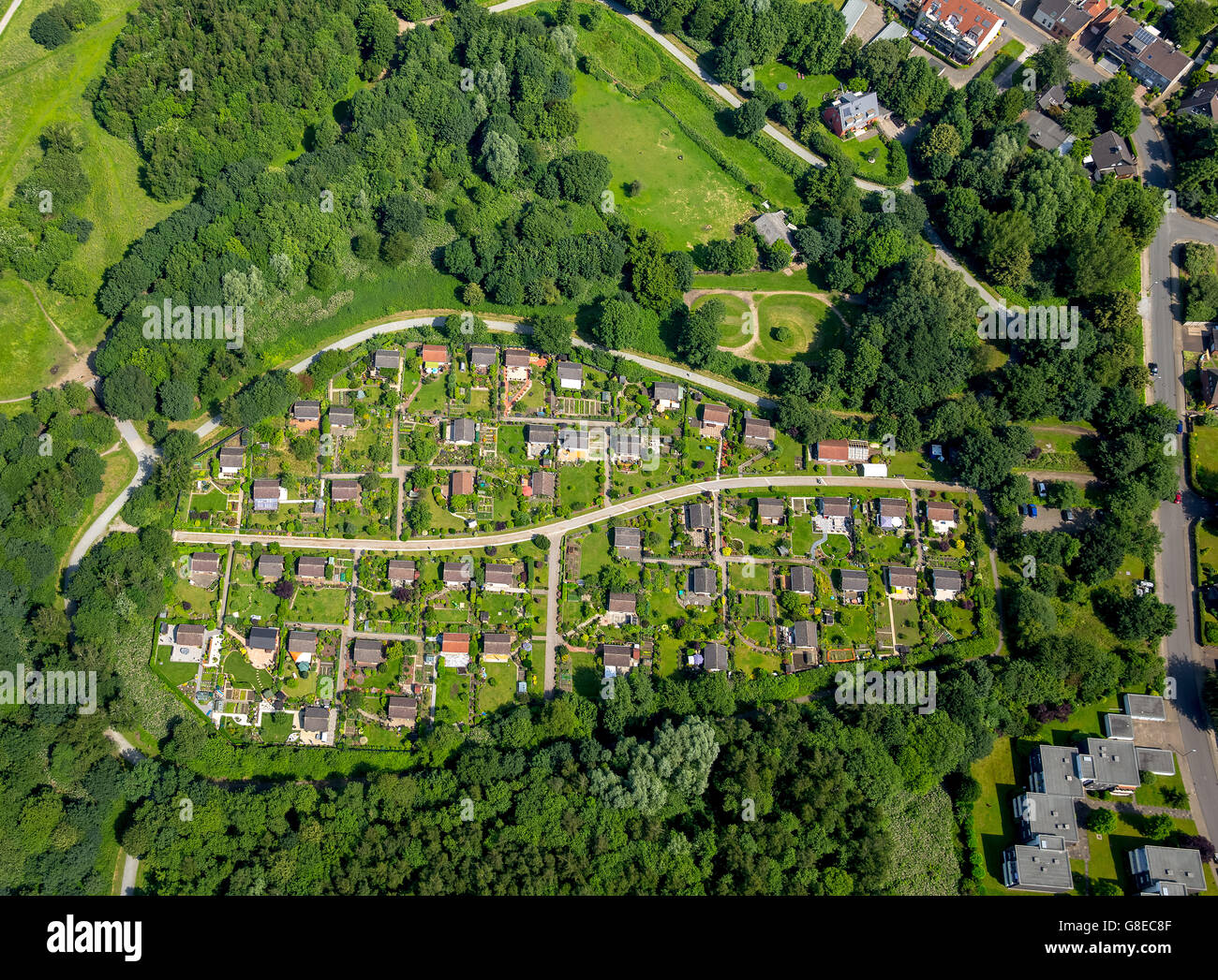Aerial view, allotments, woodland Breukelmannhof, allotments, Essen, Ruhr, North Rhine Westphalia, Germany, Europe, Aerial view, Stock Photo