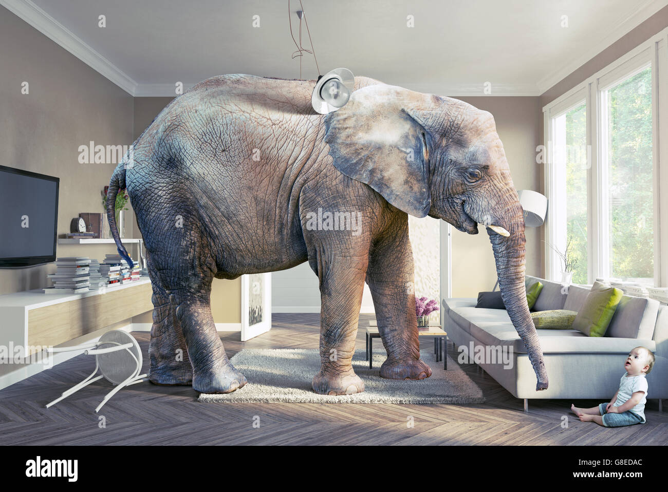 Big elephant and the baby  in the living room. 3d concept Stock Photo