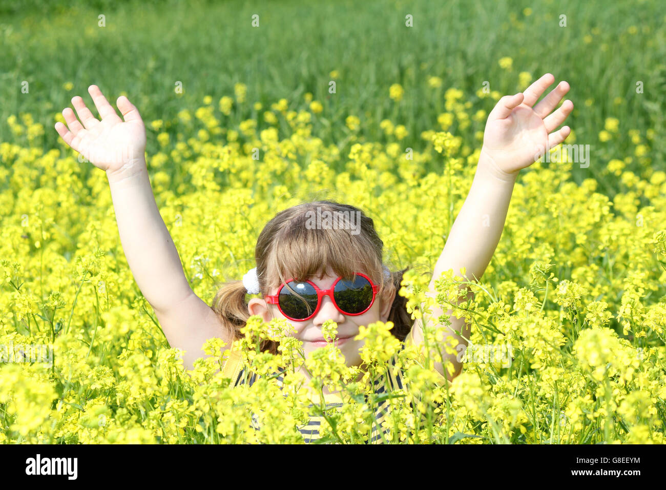 little girl with hands up in yellow flower field Stock Photo - Alamy